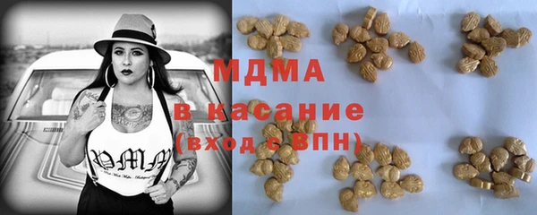 spice Богородск
