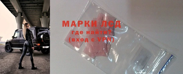 spice Богородск