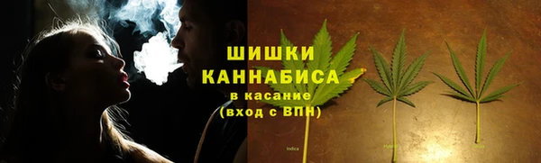 spice Богородск