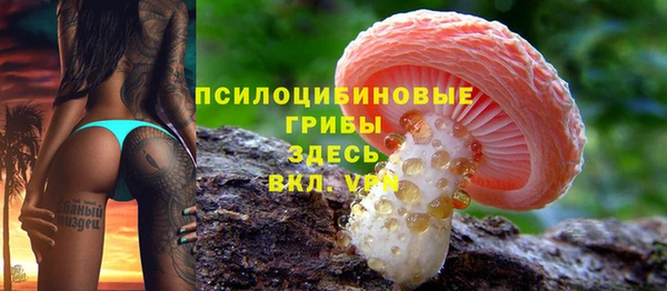 spice Богородск