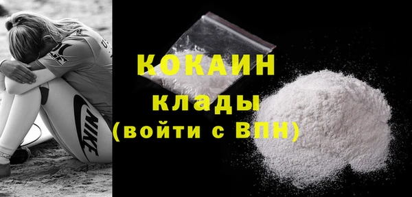 spice Богородск