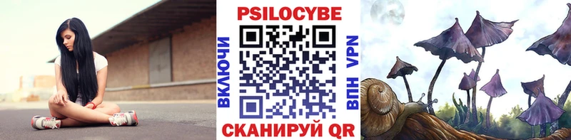 Галлюциногенные грибы Psilocybine cubensis Купить где Ленинск