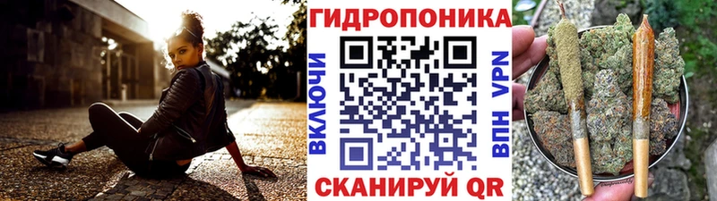 Купить закладки  Ленинск  МАРИХУАНА планчик 